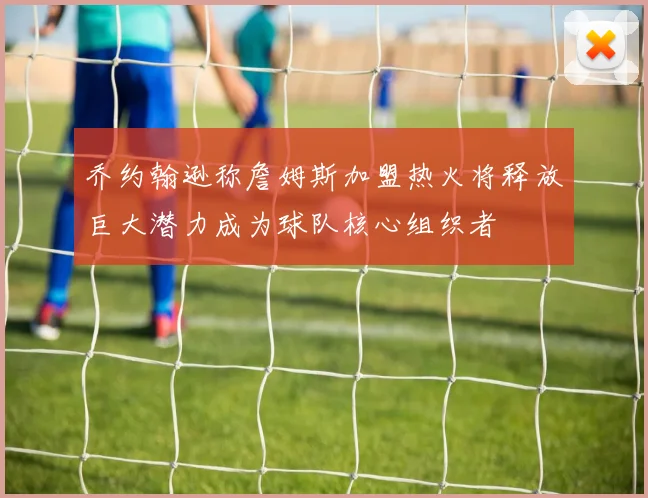 乔约翰逊称詹姆斯加盟热火将释放巨大潜力成为球队核心组织者