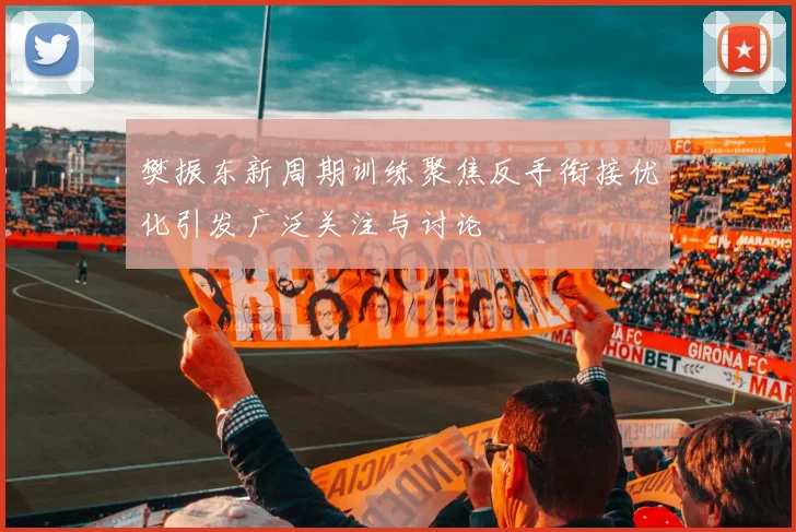 樊振东新周期训练聚焦反手衔接优化引发广泛关注与讨论