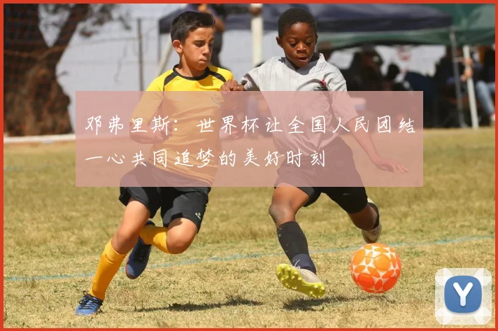 邓弗里斯：世界杯让全国人民团结一心共同追梦的美好时刻