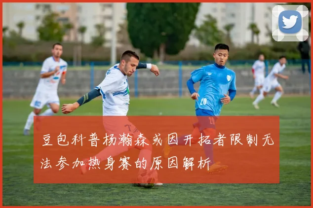 豆包科普杨瀚森或因开拓者限制无法参加热身赛的原因解析