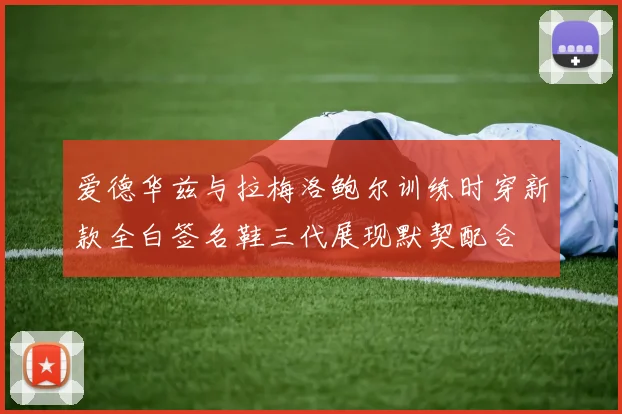 爱德华兹与拉梅洛鲍尔训练时穿新款全白签名鞋三代展现默契配合
