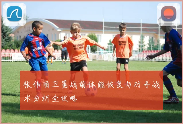 张伟丽卫冕战前体能恢复与对手战术分析全攻略
